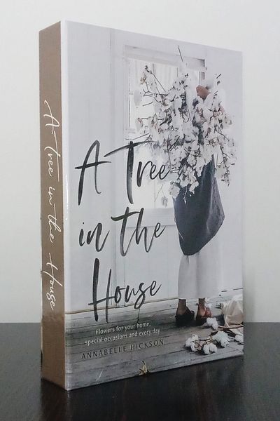BayCazip A Three in the House & Two Women Themed 2-Piece Decorative Book Box Appearance Set