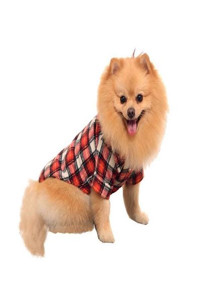 Aşkın Parti Evi Dog Navy Blue Lumberjack Shirt