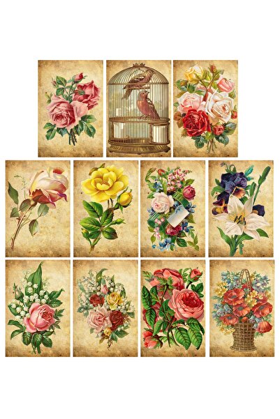 TELLGRAF Gül Temalı Kartpostal Seti (10x15 cm 11 adet)
