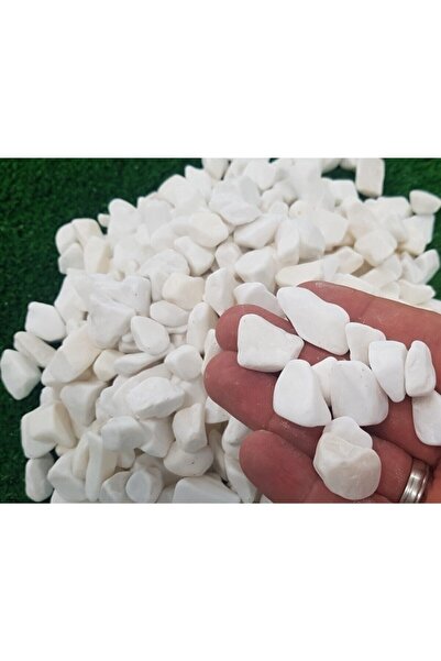 Ekodoğa Dolomit Taş 5 Kg 1-2 Cm Beyaz Dolomit Taş Saksı Dibi Dekoratif Taş Teraryum Taşı Bahçe Taşı