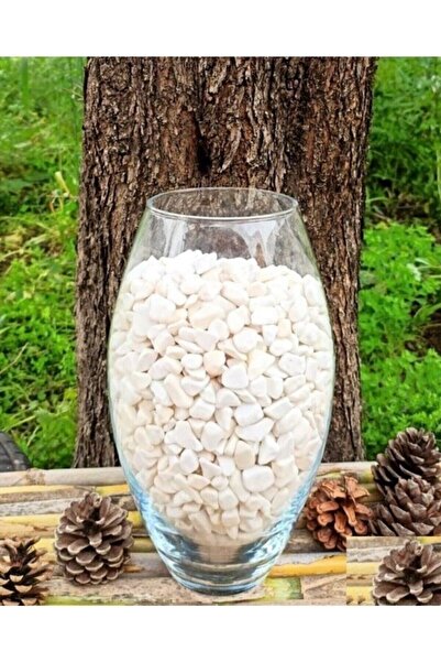 Ekodoğa Dolomit Taş 5 Kg 1-2 Cm Beyaz Dolomit Taş Saksı Dibi Dekoratif Taş Teraryum Taşı Bahçe Taşı