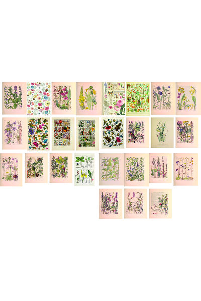 TELLGRAF مجموعة بطاقات بريدية بموضوع الزهور (27 قطعة مقاس 10x15 سم)