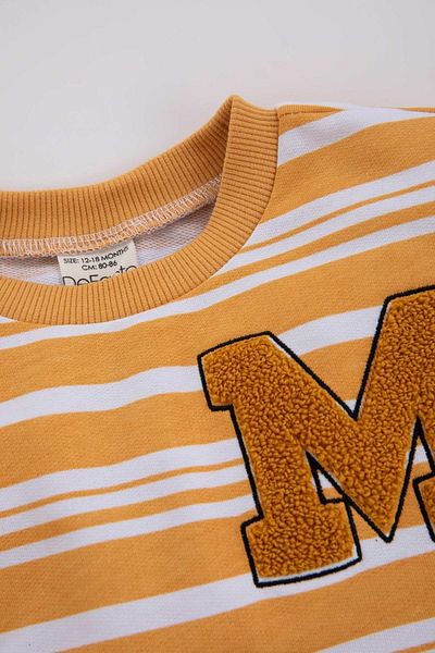 DeFacto Chlapecká mikina Regular Fit Crew Neck Deck Pruhed Mikina