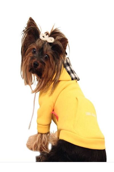 Aşkın Parti Evi Dog Men's College Switshirt Blue