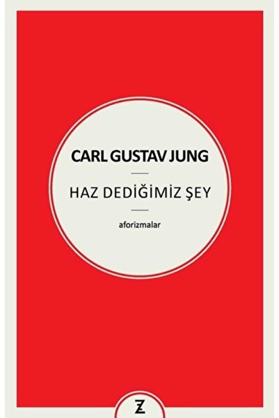 Zeplin Kitap Carl Gustav Jung Haz Dediğimiz Şey