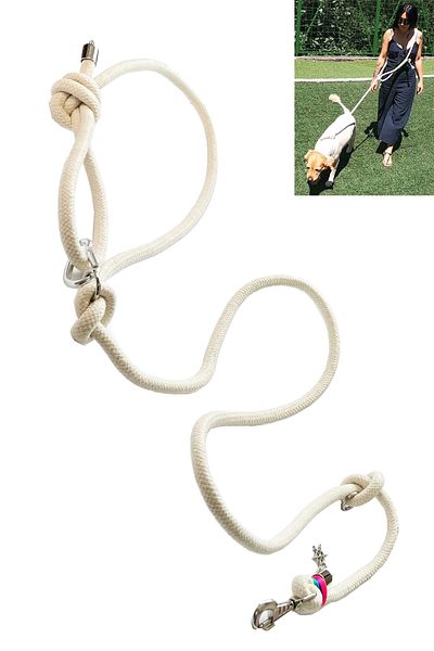 PETSWUU Dog Free Running and Walking Walking Collar