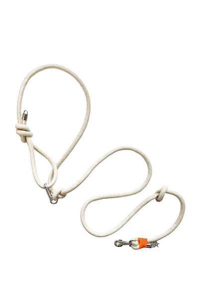 PETSWUU Dog Free Running and Walking Walking Collar