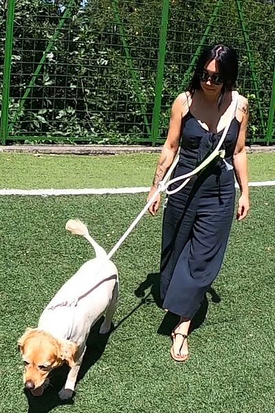 PETSWUU طوق مجاني للجري والمشي