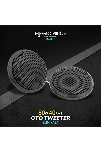 nelerbulurum 80 WATT RMS 40 WATT SLIM KASA OTO TWEETER