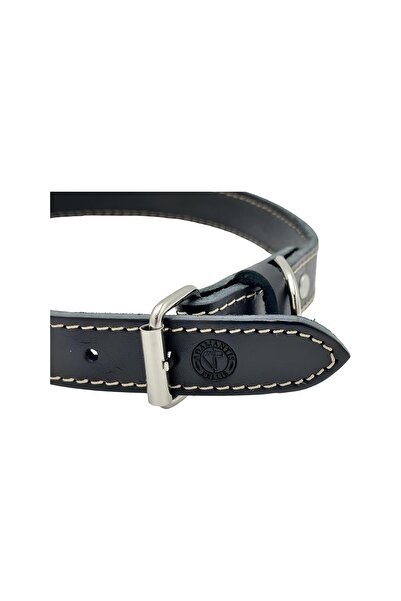 TB Leather Deri Köpek Tasması - Sağlamlık Garantili - Bitkisel Tabaklanmış Deri Dikişli Boyun Tasma