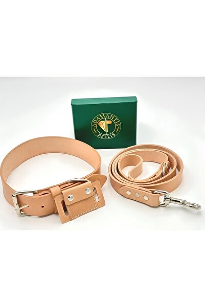 TB Leather Deri Köpek Tasması - Sağlamlık Garantili - Bitkisel Tabaklanmış Deri Dikişli Boyun Tasma