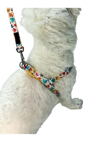 CARAMELOS Dog Collar And Travel Strap Set