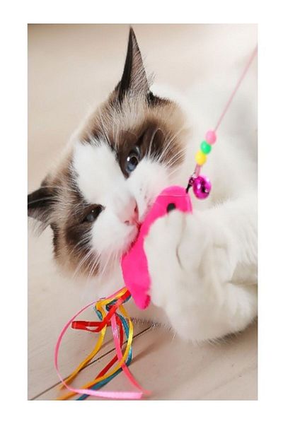 Fashion Base 90 Cm Cat Fish Game Fishing Rod