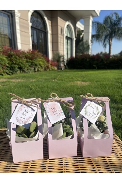 FİDAN PAZARI ÇANTALI HEDİYELİK SUKULENT MİX 20 ADET(PEMBE RENK)