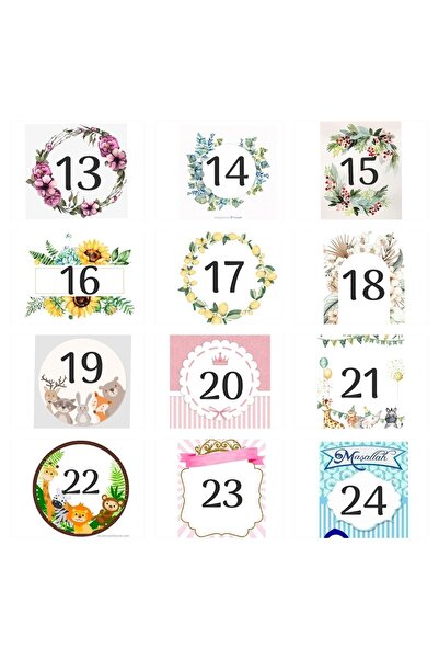 FİDAN PAZARI ÇANTALI HEDİYELİK SUKULENT MİX 20 ADET(PEMBE RENK)