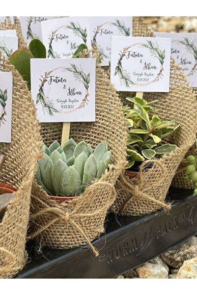 FİDAN PAZARI Jüt Süslemeli Ve Isimlikli Sukulent Hediyelik 20 Adet