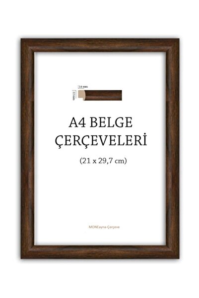 MONEayna A4 Çerçeve Belgelik Kahverengi Çerçeve (22 MM)