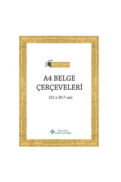 Selçuklu Sanat Πλαίσιο Α4 1ο Βαθμός 22mm (χρώμα: επιχρύσωση)
