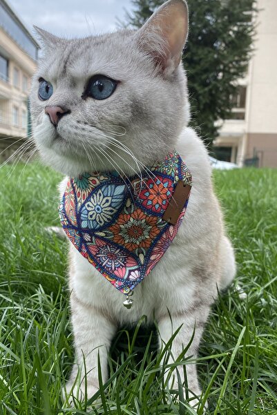 Patipatron طوق للقطط والكلاب من السلالات الصغيرة مع وشاح وطوق قابل للتعديل