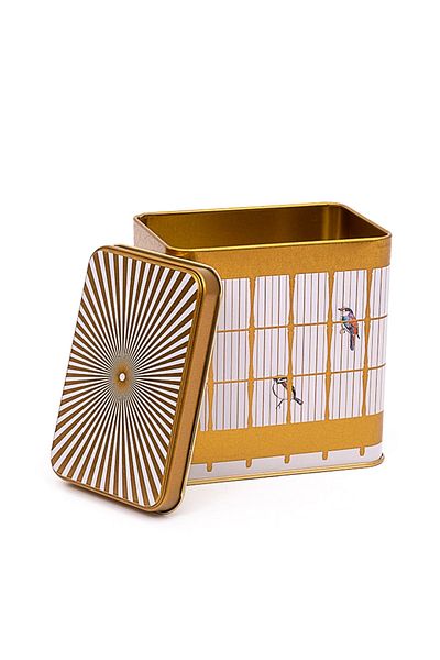 EVLE Er205-T7 Bird Cage Patterned Square Metal Storage Container 8 X 12 cm
