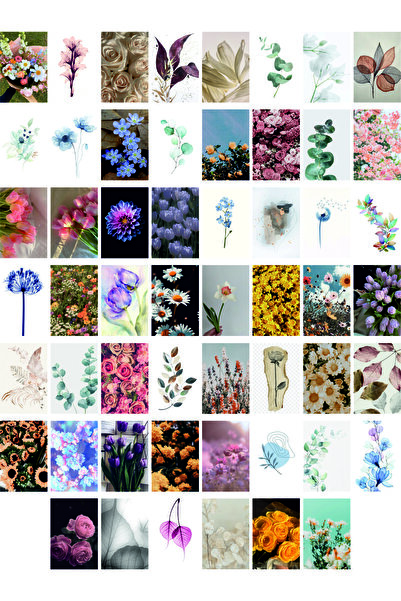 TELLGRAF مجموعة بطاقات بريدية بموضوع الزهور (10x15 سم 54 قطعة)