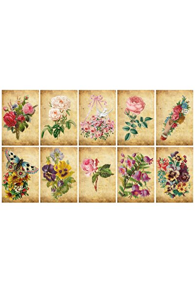 TELLGRAF مجموعة بطاقات بريدية بموضوع الورد (10×15 سم 10 قطع)