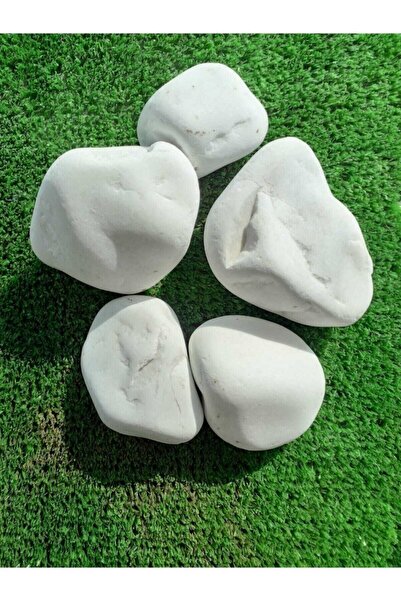 Ekodoğa Dolomit Taş 5 Kg 4-6 Cm Beyaz Dolomit Taş Saksı Dibi Dekoratif Taş Bahçe Süsleme Taşı Peyzaj Taşı