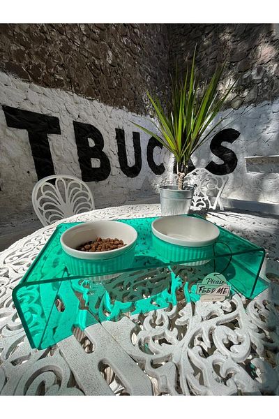 Petbucks Pet Accessories Cat And Dog Decorative Porcelain Food & Water Bowl