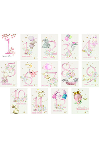 TELLGRAF Baby Monthly Cards