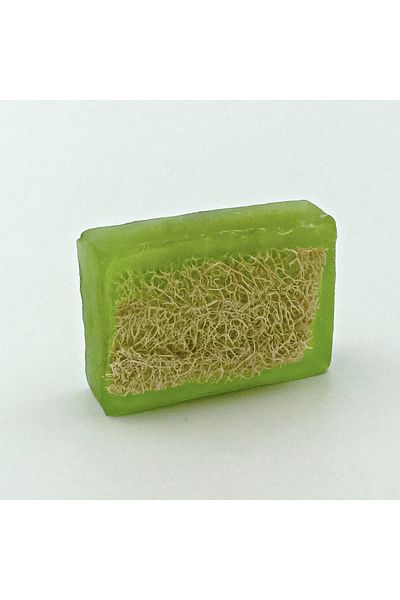 Anatolia Soap Pumpkin loofah thyme soap