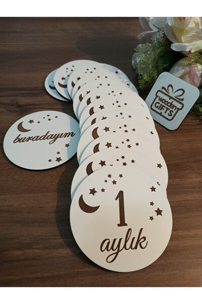 woodengifts مجموعة لوحة خشبية لمدة 12 شهرًا، بطاقات صور شهرية للأطفال، بطاقة ...