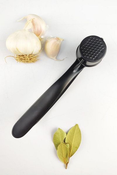 Digithome Steel Garlic Paste Black – Thn75743 C1-1-18
