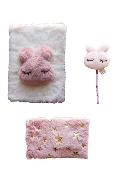 Dolphin DOLPHIN ZILNIC MEMORIE, CARNET DE AMINTIRE, CUTIE DE PENTRUP