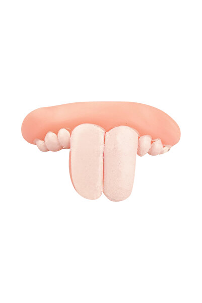 SYNOPE Takma Komik Köpek Dişi Dişlek Hayvanlar İçin Komik Tavşan Dişler Kedi Köpek Protez Aksesuarlar