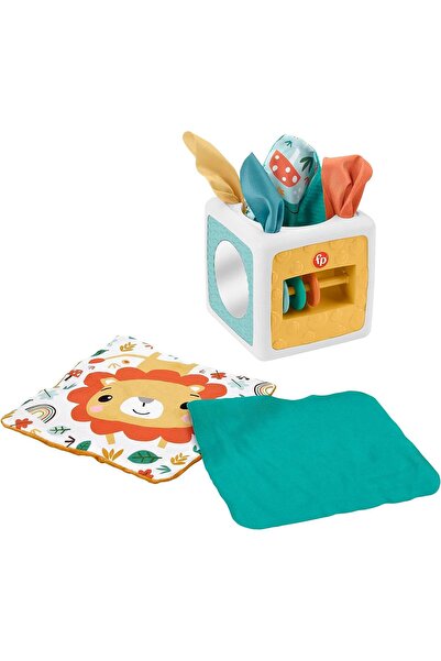 FISHER PRICE مكعب الأنشطة الممتع من فيشر برايس، 3 أشهر، Hml64