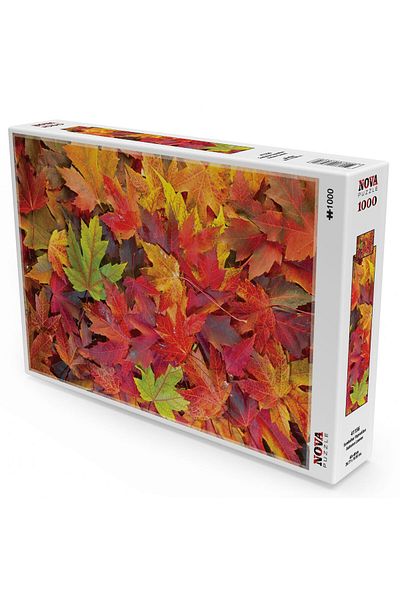 Nova Puzzle 1000 Piece Autumn Leaves Puzzle