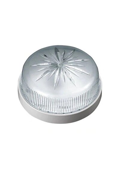 DNC LIGHTING Tavan Glop Oval Aplik Armatür