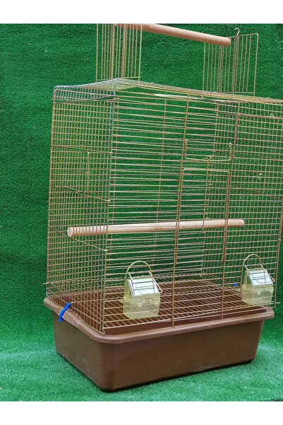 AKDEREPET PENTHOUSE PAPAĞAN KAFESI (teraslı gold seri)