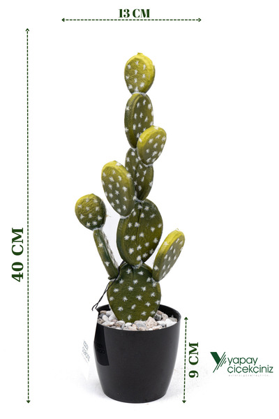 YAPAY ÇİÇEKÇİNİZ صبار تكساس الاصطناعي في وعاء أسود مبطن بالحجر