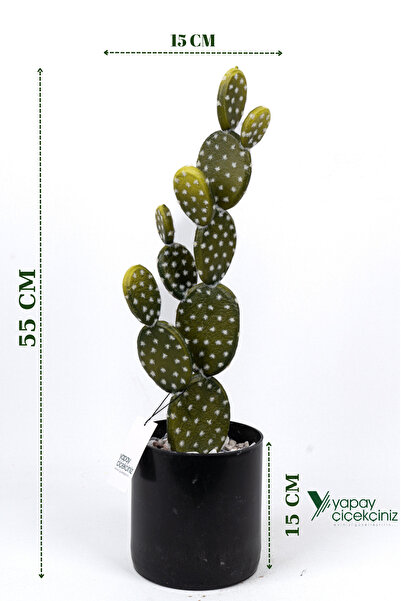 YAPAY ÇİÇEKÇİNİZ Taş Kaplı Siyah Saksısında Yapay Texas Kaktüs