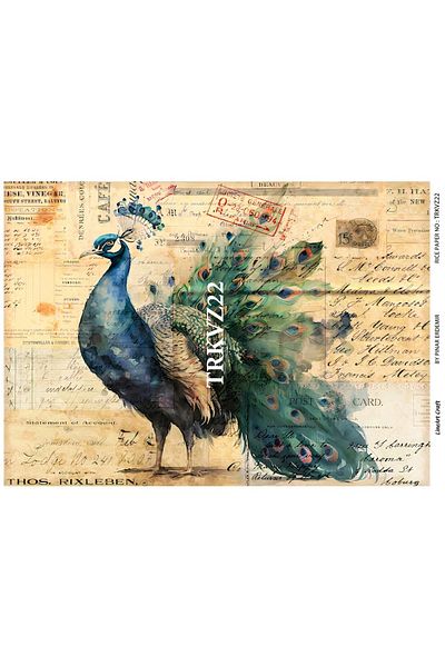 LİNEART LineArt Brass Decopage Paper LA-TRKVZ22