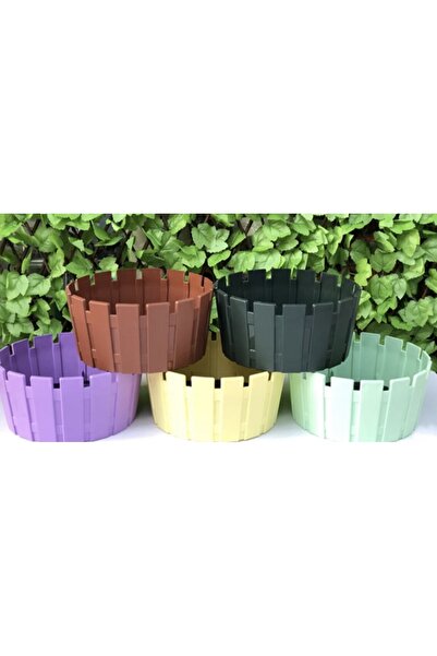 seazde Poliwork Akasya Aranjman Çit Model Saksı 33 Cm 5 Adet Mix