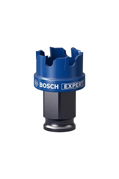 Bosch 25 mm Çelik-İnox İçin Özel Seri Panç 2608900494