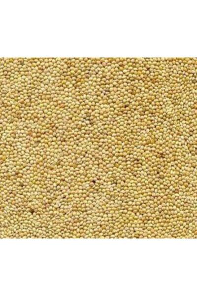 Genel Markalar Muhabbet Kuşu Yemi Ak Darı 5kg