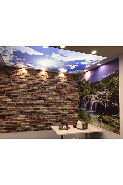 Pandekor 5 Adet (2,5M2) X Tuğla Desenli 3 Boyutlu Renkli Strafor Köpük Duvar Kaplama Paneli (BR-508)