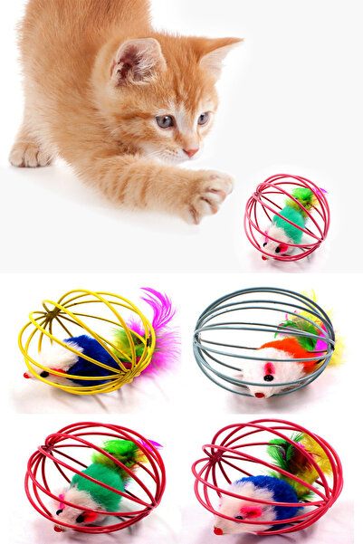 Zeyd Ticaret Kafesli Renkli Fareli Kedi Köpek Oyun Topu 6 Cm Köpek Oyun Topu ...