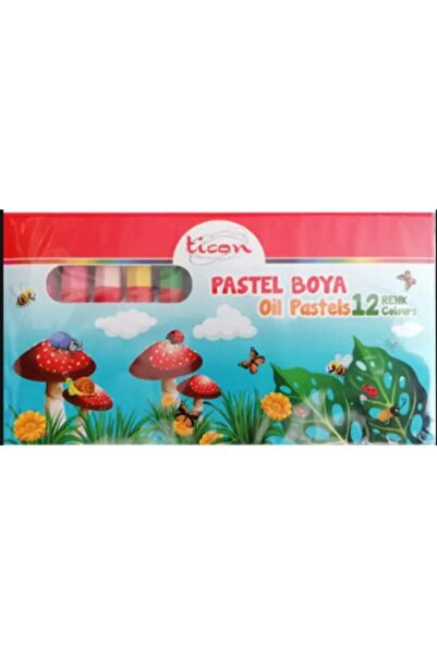 Ticon 12 Renk Pastel Boya