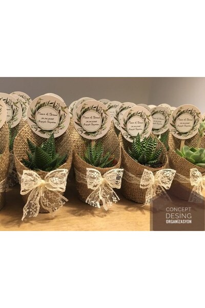 Söz Concept Desing Tasarım Nişan Nikah Sünnet Hediyelik Sukulent Hediyelik 20...