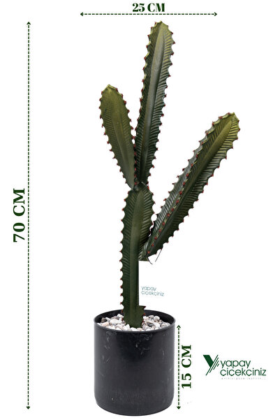 YAPAY ÇİÇEKÇİNİZ صبار تكساس الاصطناعي في وعاء أسود مبطن بالحجر