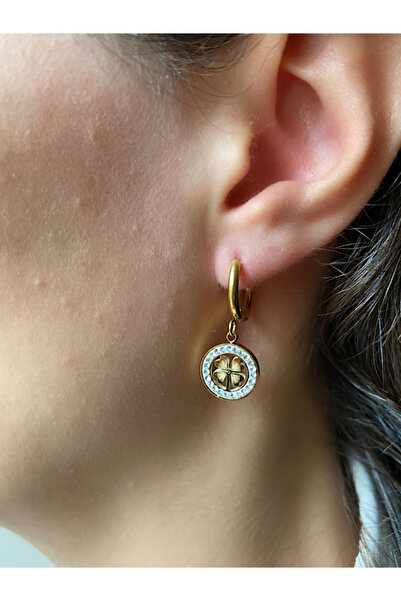 Dangling Zircon Clover Model Stainless Steel Earrings
